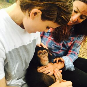 Kate Mara Instagram - Today on #givingdayforapes please support my heroes @liberiachimprescueprotection