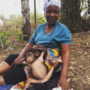 Kate Mara Instagram - Today on #givingdayforapes please support my heroes @liberiachimprescueprotection