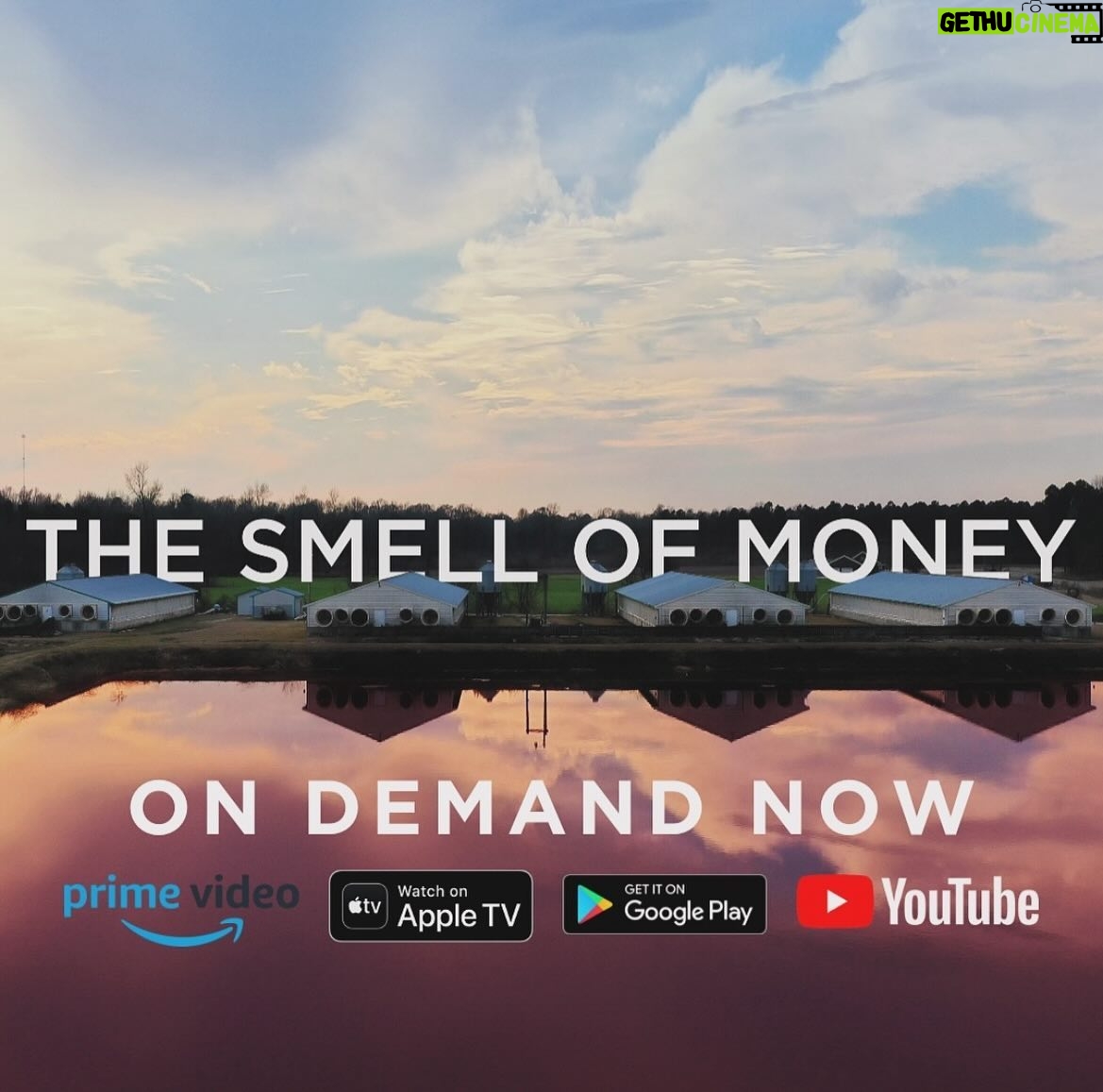 Kate Mara Instagram - Our documentary #TheSmellOfMoney is out now. Please watch🖤