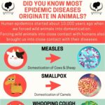 Kate Mara Instagram - Did you know most epidemic diseases originate in animals? Thanks for the info @afrovegansociety 💚 Human epidemics started about 10,000 years ago when we forced wild animals into domestication. ⠀ Forcing wild animals into close contact with humans also brought us into close contact with their diseases. ⠀ We will continue to create these deadly epidemics as long as we have an animal-based food system. ⠀ Building a completely accessible plant-based food system is the only solution✊🏾💚🌱✨ #epidemicdiseases #blackvegansofig #blackhealthmatters #blackvegancommunity #vegan @afrovegansociety
