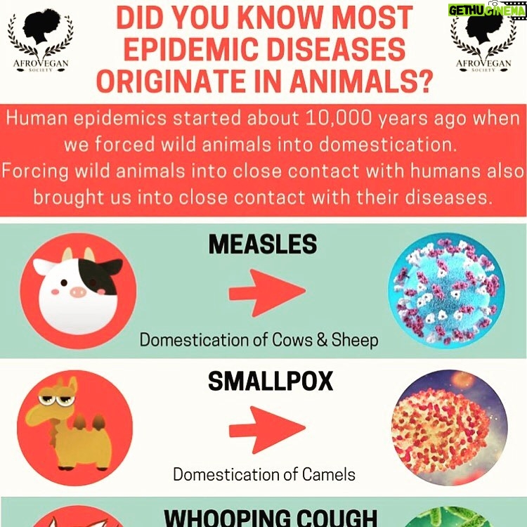 Kate Mara Instagram - Did you know most epidemic diseases originate in animals? Thanks for the info @afrovegansociety 💚 Human epidemics started about 10,000 years ago when we forced wild animals into domestication. ⠀ Forcing wild animals into close contact with humans also brought us into close contact with their diseases. ⠀ We will continue to create these deadly epidemics as long as we have an animal-based food system. ⠀ Building a completely accessible plant-based food system is the only solution✊🏾💚🌱✨ #epidemicdiseases #blackvegansofig #blackhealthmatters #blackvegancommunity #vegan @afrovegansociety