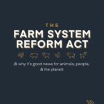Kate Mara Instagram – This common sense legislation restricts the expansion and abuses of factory farms, which have been proven to harm animals, communities, and the environment. 

Take action to help farm animals and orient our food system towards justice- tap link in bio and tell your U.S. Representative and Senators to co-sponsor and support the Farm System Reform Act.