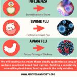Kate Mara Instagram – Did you know most epidemic diseases originate in animals?

Thanks for the info  @afrovegansociety 💚

Human epidemics started about 10,000 years ago when we forced wild animals into domestication.
⠀
Forcing wild animals into close contact with humans also brought us into close contact with their diseases.
⠀
We will continue to create these deadly epidemics as long as we have an animal-based food system.
⠀
Building a completely accessible plant-based food system is the only solution✊🏾💚🌱✨
#epidemicdiseases 
#blackvegansofig #blackhealthmatters #blackvegancommunity 
#vegan 
@afrovegansociety