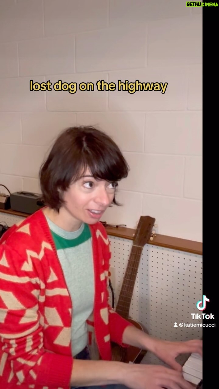 Kate Micucci Instagram - I found a lost dog while I was walking to school. And that inspired the first song I ever wrote. Brandy, Lost Dog in the City. It’s on my album MY HAT! I love you Brandy! ❤️ #firstsong #lostdog #myhat