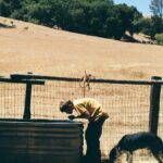 Kate Nash Instagram - Some photos from our sometimes spooky, somewhat surreal video shoot for Space Odyssey 2001.