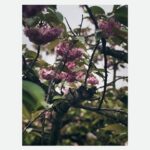 Kate Siegel Instagram – okini
