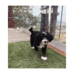 Kate Siegel Instagram – New