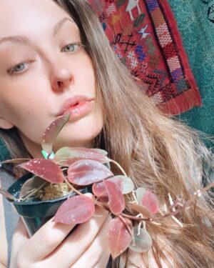 Katharine Isabelle Instagram - Taking applications for new lovers. Must be a plant. THANK YOU @planthaventoronto for my lil gang of rare and stunning hoyas! I’m absolutely in love, best day so far this year. For all your plant and plant shipping needs make sure to hit them up🌱#plantsmakepeoplehappy #hoya #love