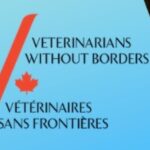 Katherine Barrell Instagram – I would like to extend a massive THANK YOU to all of you who joined me at @dreamitcon this past March!  I mentioned that I would be donating proceeds from this convention to various charities aiding the humanitarian efforts for the war in Ukraine.  Please find the organization donation information here.  Sending you all SO much love and gratitude! xoxo #StandwithUkraine 

1) The Ukrainian Red Cross= “All funds will be used to help those in need, affected by armed conflict, blood collection, mobilization of volunteers and resources, and emergency activities.”

2) World Central Kitchen = “When disaster strikes, WCK’s Chef Relief Team mobilizes to the front lines with the urgency of now to start cooking and provide meals to people in need” 

3) Voices of Children = “With your help, we give psychological and psychosocial support to children who suffered as a result of war operations.
It helps them to win the consequences of the war and develop themselves. Our objective is that every child who has suffered from the war in Ukraine must get psychological help in time.”

4) Canadian Veterinarians without Boarders // Tailed Hostages of War = “Tailed Hostages of War is a rescue charity. Since the beginning of the war, they have placed over 100,000 animals in appropriate shelters. Importantly, the group also works to mobilize and deliver food and supplies from the city of Lviv to animal shelters across Ukraine, with direct support from Veterinarians without Borders.”