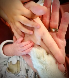 Katherine Barrell Instagram - And then there were five.❤️❤️❤️❤️❤️ ✨ Celeste Monique Barrell Galletti ✨ 🐣 Born May 21 at 4:33pm 🐣 “You are made of stardust. Fear Nothing.” Thank you all so much for the love and support you have sent our way over the past few weeks. Everyone is doing amazing. 🥰