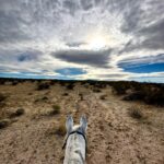 Katherine Kelly Lang Instagram – Natures beauty❤️ #almarahtiffany #aercendurance #50miles #enduranceride #arabianhorse #ridgecrest