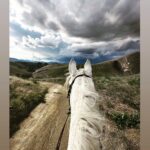 Katherine Kelly Lang Instagram - Just me and #almarahtiffany today riding into the storm🌦️