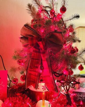 Kathleen Gati Instagram - Merry Christmas everyone!🎄❤️