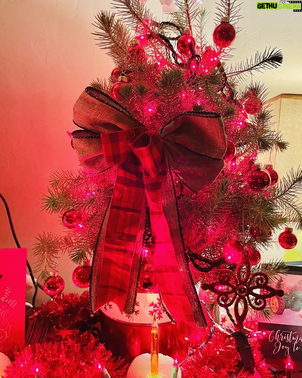 Kathleen Gati - 0.9K Likes - Merry Christmas everyone!šā¤ļø