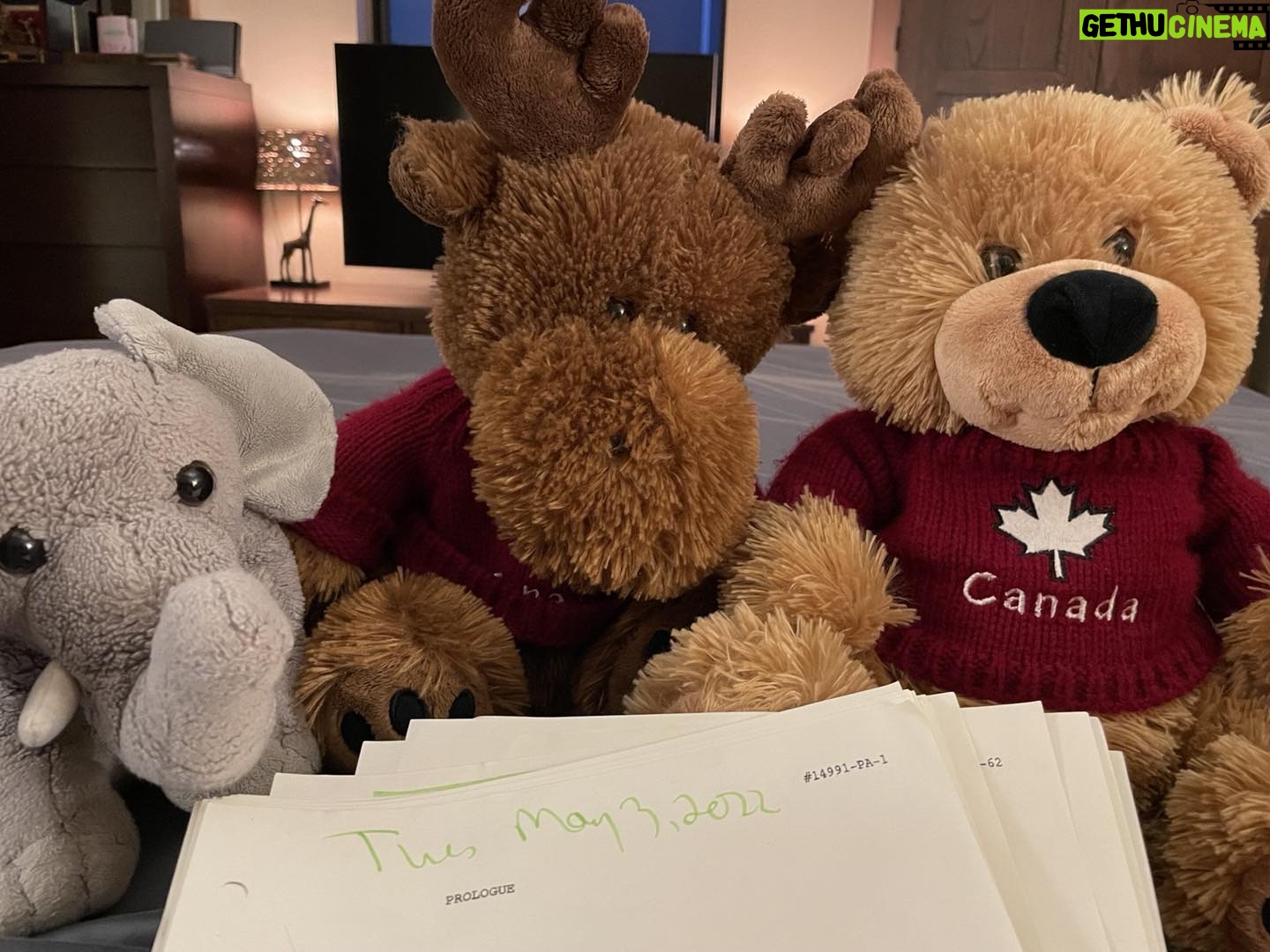 Kathleen Gati - 394 Likes - My colleagues have arrived to help me study. Itās a tough crowd!š±ā¤ļø #GH #play #life ā¦āŖ@GeneralHospitalabcā¬ā© #acting #ActorsLife #playtime #work
