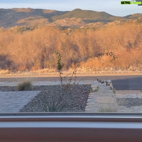 Kathleen Gati - 544 Likes - Oh #deer! š¦ My new āpetā who walks by regularly! I could watch him all day! So beautiful and majestic! Best #Christmas present ever!šā¤ļø #nature #animallover #pet