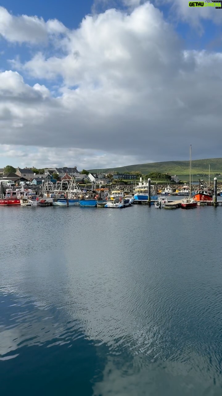 Kathleen Madigan - 1.2K Likes - Quiet morning in Dingle š¢
#ireland #dingle #dinglepeninsula #fungi #kathleenmadigan #madiganspubcast