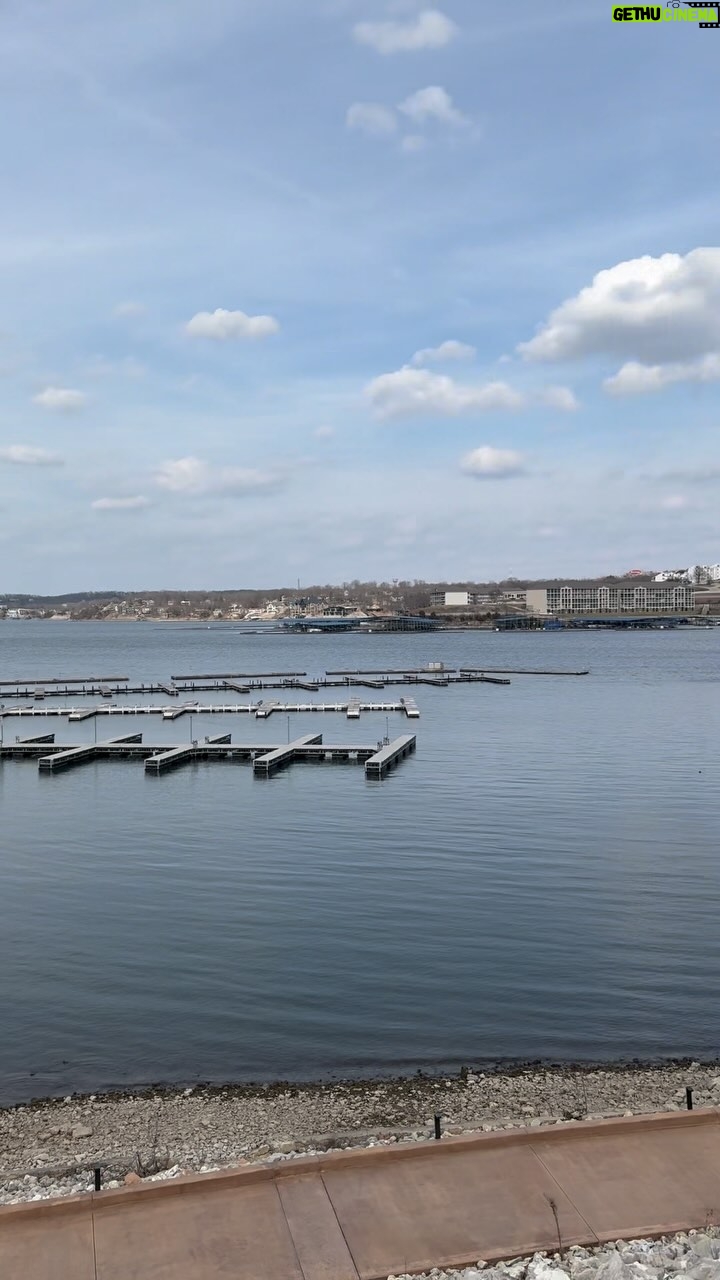 Kathleen Madigan - 3.3K Likes - Tiny update from Lake of the Ozarksš«¶.
.
Thanks for ALL of the kind comments love. My family & I appreciate it šš».
.
#update #tinyupdate #lakeoftheozarks #kathleenmadigan #monday #termites #madiganspubcast