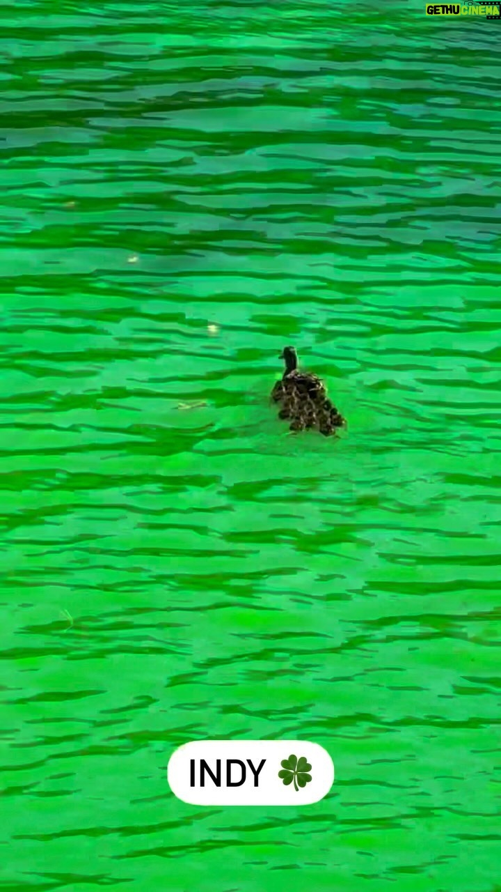 Kathleen Madigan - 1.4K Likes - Indianapolis! Myā¦your river is Festiveš.
.
Happy St. Patrickās Day weekend! See you tonight @butlerartseventscenter š.
.
#stpaddysday #saturday #indy #indianapolis #butler #butleruniversity #kathleenmadigan #madiganspubcast