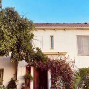 Kathleen Robertson Instagram - This was Marilyn Monroes first apartment when she moved to Los Angeles. we used it for @kiernanshipka character Lou Simms in #swimmingwithsharks (which premieres tomorrow on @therokuchannel) Hollywood is a place where people go to reinvent themselves. To dream. To believe in something bigger than where they came from. I moved to LA when,like Lou, I was 19. If I told that girl one day she would be about to launch a series into the world that she created she would have laughed. But,here we are. Also — the #bouganvillea I had the production designer add to the front of her apartment is throughout the series/opening titles/poster. When I first moved to LA from Canada, I was in awe of its beauty. Growing over freeways in the middle of winter. This vibrant weed that can survive anything. But, it’s invasive. Littered with thorns. A home for rodents. It becomes something different once you’ve been around it for a while. I guess that’s kinda like everything. 🖤🦈🔪🌺 #imdreamingthehardest