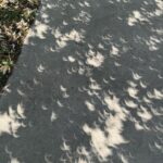 Kathryn Dunn Instagram - pov: you survived the eclipse end-of-the-world conspiracy 🌚🌙☄️ #eclipse #solareclipse #eclipse2024