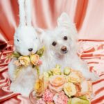 Kathryn Dunn Instagram - me and my easter bunny 🐰🐾🧺 swipe to see the cutest thing you’ll ever see😍😭
