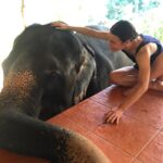 Kathryn McCormick Instagram – 🐘♥️ I have so much respect, gratitude, and love for this big guy right here. 
.
.
#thailand #adventurelife #travelphotography #thailandtravel #beautifuldestinations #passionpassport #doyoutravel #elephantreserve #elephants