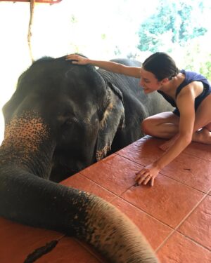 Kathryn McCormick Instagram - 🐘♥️ I have so much respect, gratitude, and love for this big guy right here. 
.
.
#thailand #adventurelife #travelphotography #thailandtravel #beautifuldestinations #passionpassport #doyoutravel #elephantreserve #elephants