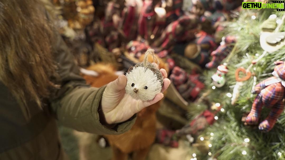 Kathryn McCormick Instagram - Everyone meet El Hefe. When you really want a dog, but are never home to take care of it so you decide a hedgehog will do, then realize you can't have that either so you buy an ornament of one and hang it in your house.ππΌβ¨β₯οΈ