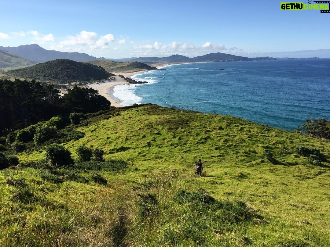 Kathryn McCormick Instagram - ☀️🏃🏻♀️🏃🏻💚🇦🇺 . . #newzealand #adventurelife #travelphotography #travelnewzealand #beautifuldestinations #passionpassport #doyoutravel #whangarei