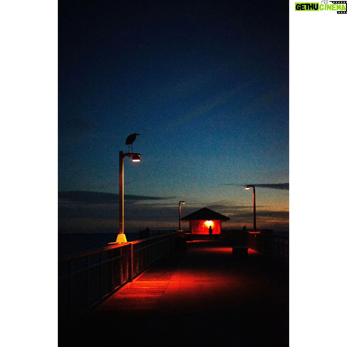 Kathryn Prescott - 4.3K Likes - Florida