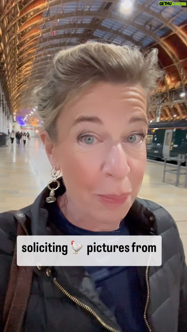 Katie Hopkins Instagram - Batsh*t Bonkers Britain. And it’s only Monday people