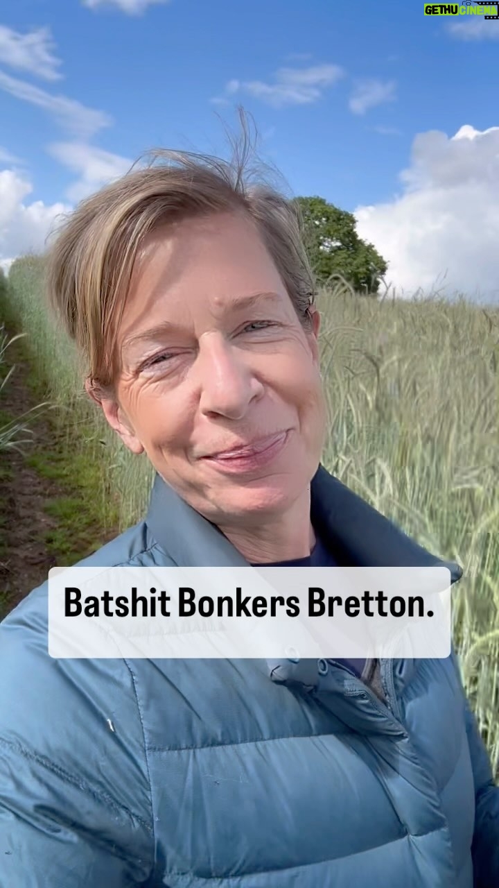 Katie Hopkins - 20.3K Likes - Batsh*t Bonkers Britain BANK HOLIDAY EDITION