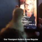 Katie Hopkins Instagram - Our Katie’s Arms family is growing fast. Dogs, goslings, single Pringles, married & pissed offs, free & loving life. Lovers, haters … this is YOUR pub LIVE on Insta. Friday 8pm. Thank you Phil & Elvis in Norway