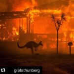 Katie Leung Instagram - #Repost @gretathunberg with @get_repost ・・・ Australia is on fire. And the summer there has only just begun. 2019 was a year of record heat and record drought. Today the temperature outside Sydney was 48,9°C. 500 million (!!) animals are estimated dead because of the bushfires. Over 20 people have died and thousands of homes have burned to ground. The fires have spewed 2/3 of the nations national annual CO2 emissions, according to the Sydney Morning Herald. The smoke has covered glaciers in distant New Zealand (!) making them warm and melt faster because of the albedo effect. And yet. All of this still has not resulted in any political action. Because we still fail to make the connection between the climate crisis and increased extreme weather events and nature disasters like the #AustraliaFires That has to change. And it has to change now. My thoughts are with the people of Australia and those affected by these devastating fires.