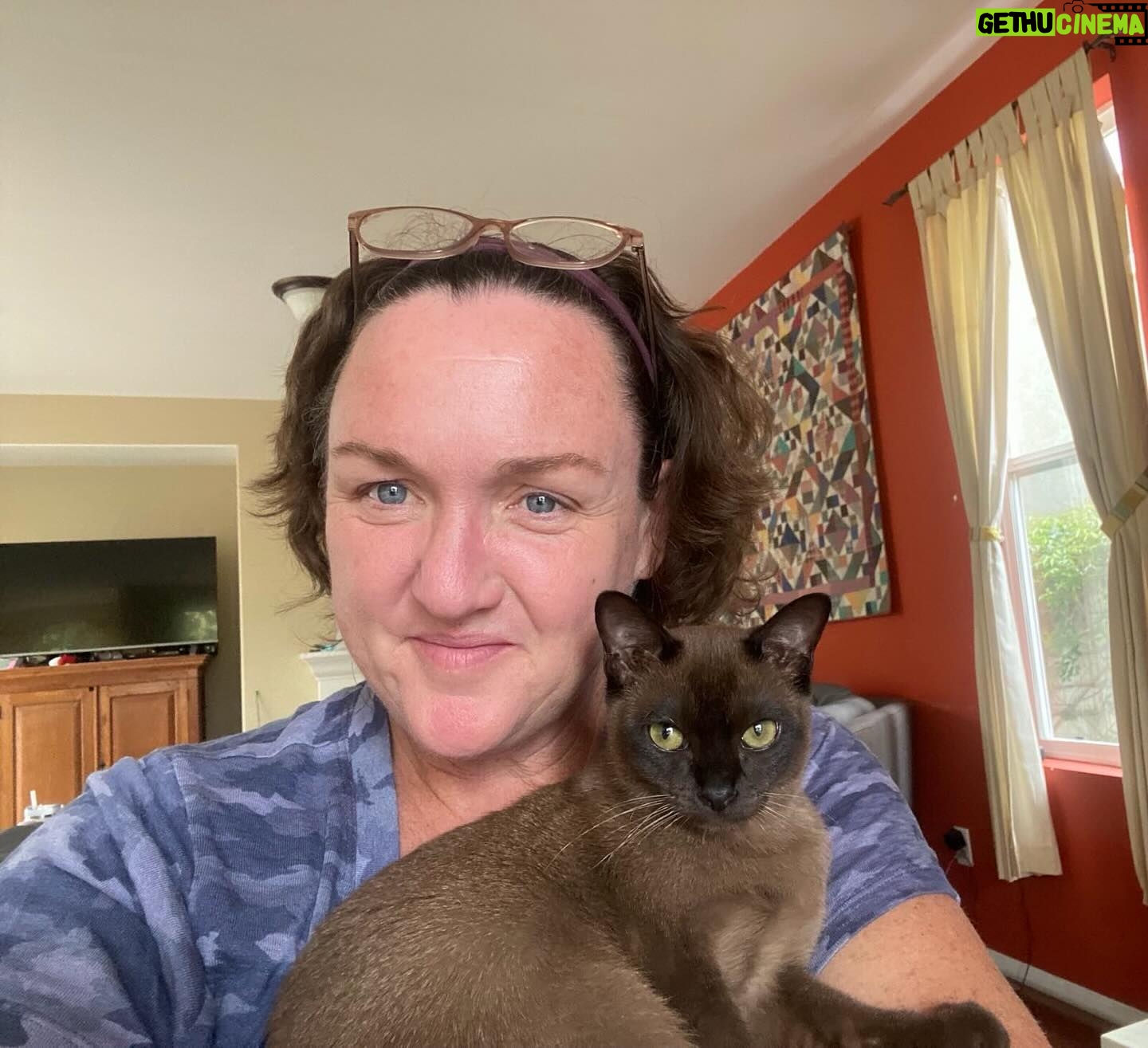Katie Porter Instagram - Happy #PetAppreciationWeek! My kids and I are so grateful for Dino and all the veterinarians and animal care workers who help keep our furry friends healthy and safe. Don’t forget to spoil your pet a little more this week!