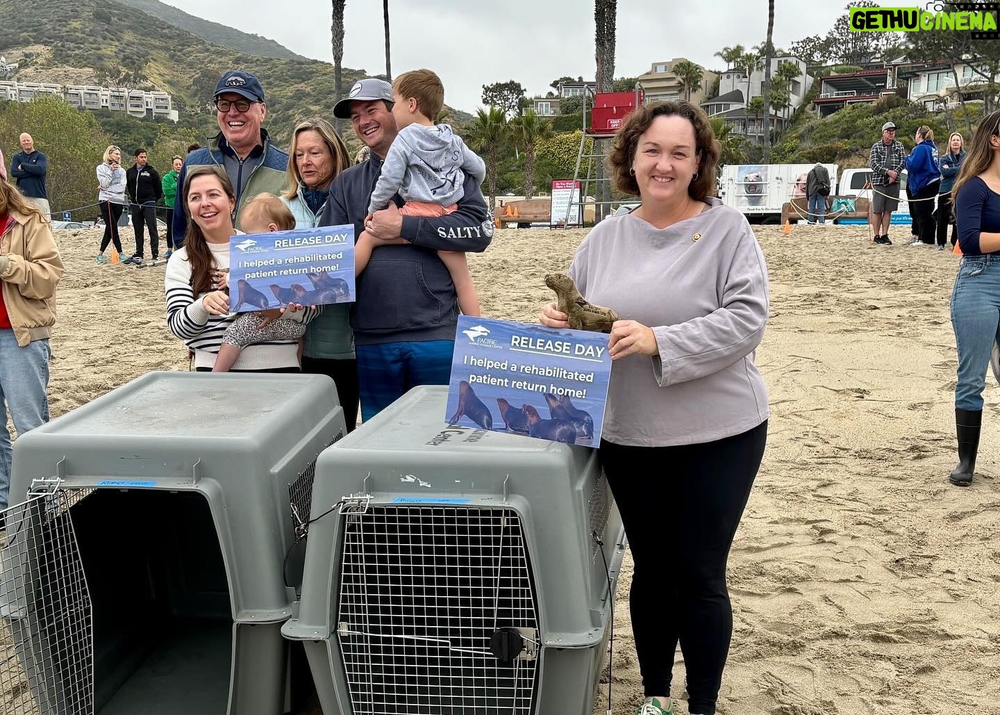 Katie Porter Instagram - Great to join the Pacific Marine Mammal Center to release five rehabilitated “patients” back into the ocean. Their vital research and veterinary care is a lifeline for aquatic mammals—and a reminder that we need to do more to clean up and protect ocean habitats.