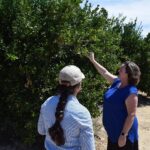 Katie Porter Instagram – California’s farmers contribute tens of billions to our economy producing much of our country’s fruits, vegetables, and nuts. As Congress begins to consider the Farm Bill, I stopped by some farms and orchards in Bakersfield to hear how we can support our agricultural industry.