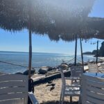 Katrin Bauerfeind Instagram - USA-Foto-Dump! Auf der Dachterrasse, Waffelwahnsinn, die „Fresse“ von Brando in der Pate - genial, Rosenmeer, Malibu, richtiges Meer, Männchen. tbc.