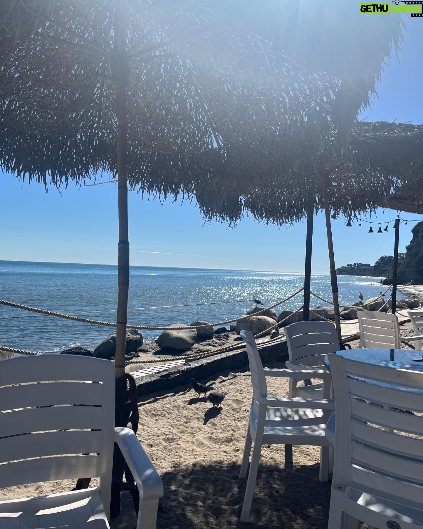 Katrin Bauerfeind Instagram - USA-Foto-Dump! Auf der Dachterrasse, Waffelwahnsinn, die „Fresse“ von Brando in der Pate - genial, Rosenmeer, Malibu, richtiges Meer, Männchen. tbc.
