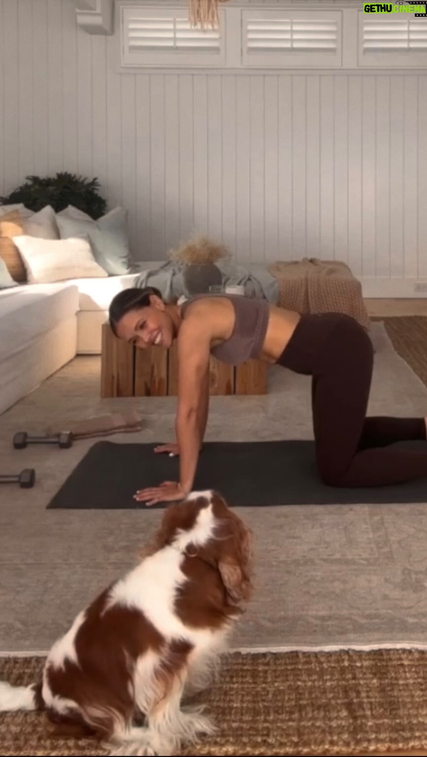 Katrina Scott Instagram - Brian’s wheezing has me cracking up all over again. We spent hours setting up the space, moving the furniture, cleaning up all the toys, making sure the girls were out of the house, rehearsing the workout, testing the sound… all to have Winston scoot across camera TWICE ☠️ Currently shopping for a smaller chandelier 🥴