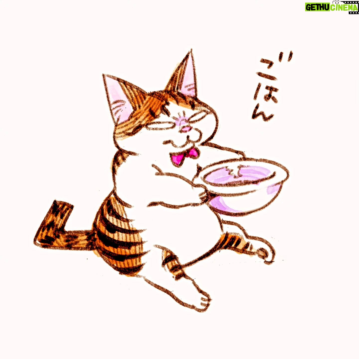 Katsura Hoshino - 3 Likes - 今日もがんばるぞぃ