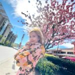 Katy Kung Instagram - 櫻花樹下🌸 有時候 就是會有突如其來的驚喜！ 📸 @maboboma