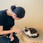 Kavka Shishido Instagram - . . ２週に渡ってお送りしました カラサタ in 猫カフェ . ザッツな猫撫で声で話し続けておりましたが ちゃんとお伝え出来ていましたでしょうか . . Moff animal cafe グランベリーパーク店にいる猫ちゃんたちはみんな穏やかで 気ままにそれぞれの時間を過ごす事の出来る素敵な空間でした . 人生初の猫カフェ 癒されたー . . 猫はやはり 良いですね . . @moff_grandberrypark