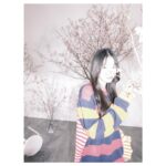 Kawaguchi Yurina Instagram - ． ． フィンランドを代表するデザインハウス 〝 Marimekko / マリメッコ 〟が シグニチャープリント〝 Unikko / ウニッコ 〟柄の 誕生60周年を記念して 3月31日（日）まで 〝 Marimekko Sakura moment 〟 と題した フラワーショップを原宿にて期間限定でオープンしています🌷 ． ． お花を購入するとMarimekko のファブリックを選んでラッピングしてもらえるみたいです🌷 イベント限定のオリジナルフレーバーアイスクリームも美味しそう…♡ ぜひチェックしてみてくださいね〜! ． ． @marimekkojapan @diligenceparlour #Marimekko #マリメッコ #SakuraMoment #Marimekkosakuramoment #DILIGENCEPARLOUR #pr