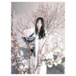 Kawaguchi Yurina Instagram - ． ． フィンランドを代表するデザインハウス 〝 Marimekko / マリメッコ 〟が シグニチャープリント〝 Unikko / ウニッコ 〟柄の 誕生60周年を記念して 3月31日（日）まで 〝 Marimekko Sakura moment 〟 と題した フラワーショップを原宿にて期間限定でオープンしています🌷 ． ． お花を購入するとMarimekko のファブリックを選んでラッピングしてもらえるみたいです🌷 イベント限定のオリジナルフレーバーアイスクリームも美味しそう…♡ ぜひチェックしてみてくださいね〜! ． ． @marimekkojapan @diligenceparlour #Marimekko #マリメッコ #SakuraMoment #Marimekkosakuramoment #DILIGENCEPARLOUR #pr