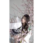 Kawaguchi Yurina Instagram - ． ． フィンランドを代表するデザインハウス 〝 Marimekko / マリメッコ 〟が シグニチャープリント〝 Unikko / ウニッコ 〟柄の 誕生60周年を記念して 3月31日（日）まで 〝 Marimekko Sakura moment 〟 と題した フラワーショップを原宿にて期間限定でオープンしています🌷 ． ． お花を購入するとMarimekko のファブリックを選んでラッピングしてもらえるみたいです🌷 イベント限定のオリジナルフレーバーアイスクリームも美味しそう…♡ ぜひチェックしてみてくださいね〜! ． ． @marimekkojapan @diligenceparlour #Marimekko #マリメッコ #SakuraMoment #Marimekkosakuramoment #DILIGENCEPARLOUR #pr