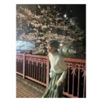 Kawaguchi Yurina Instagram - ． 今年の桜との初めましては だいすきな子と🐺♡ ． ． #川口の私服