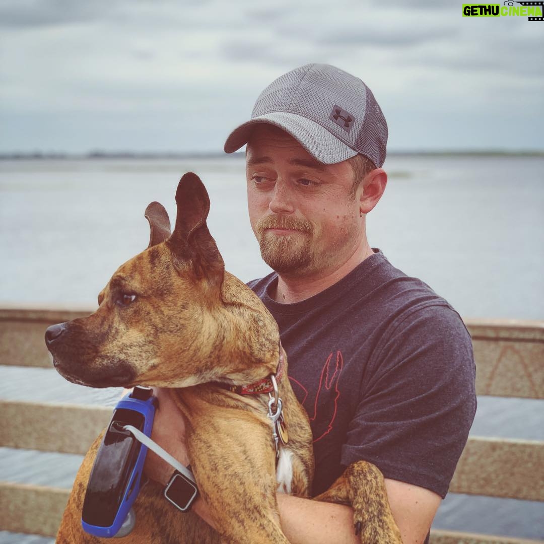 Kay Panabaker - 1.6K Likes - My new favorite picture of these 2 that perfectly sums up their relationship - Berger looking at strangers and wondering why they’re not petting her and Tom resigned to this fact.