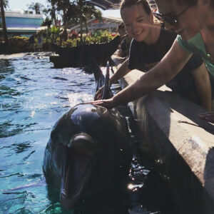 Kay Panabaker Instagram - So I was gonna be stranded at the car repair shop for 9 and 1/2 hours today while they worked on my car. Then J-Bo texted me and said she had an extra ticket to Seaworld. We rode so many coasters (some of them twice!), and got to see some pretty cool animals. But I think the highlight was just quality bonding time. We often hang out as part of our friend group, so it was nice to just have an “us” date. Thanks for the fun day, @jenn_lebeau !!! Great way to send off 2017!!!